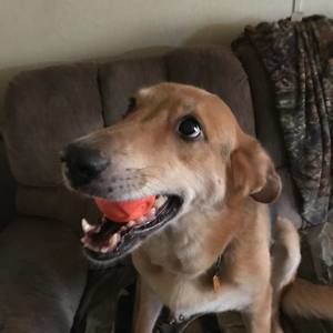 Meet your Posher, Michael j